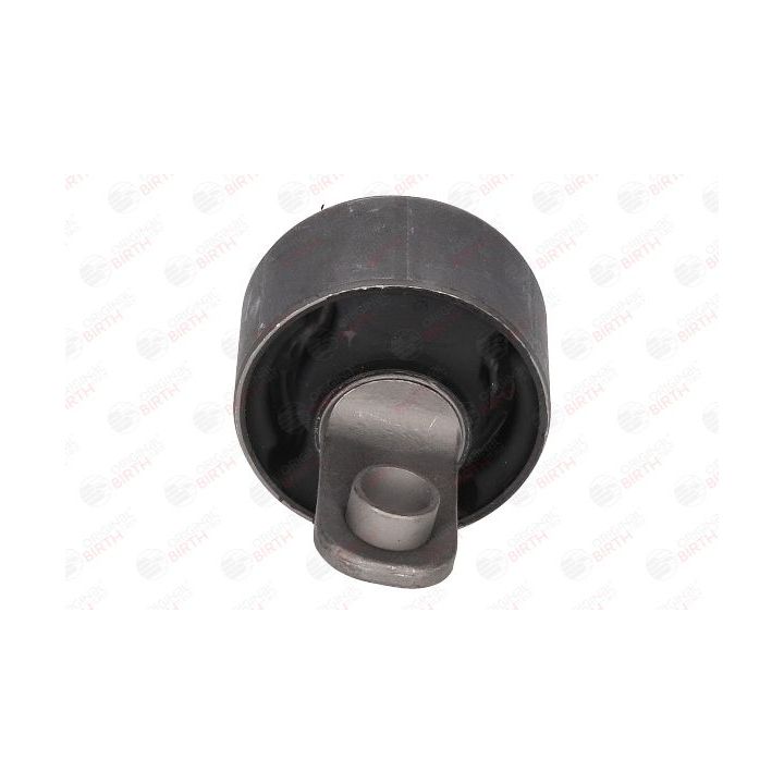 Valdymo svirties/išilginių svirčių įvorė BIRTH 20071