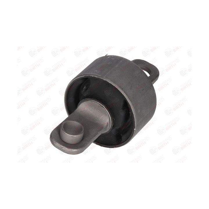 Valdymo svirties/išilginių svirčių įvorė BIRTH 20071