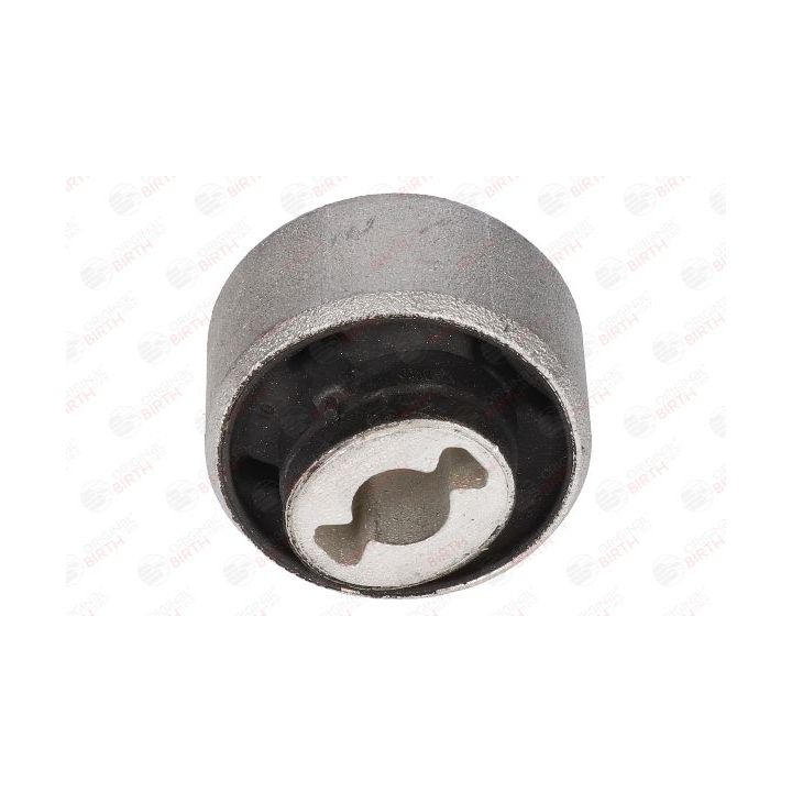 Valdymo svirties/išilginių svirčių įvorė BIRTH 20075