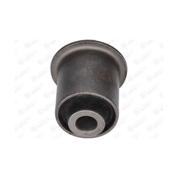 Valdymo svirties/išilginių svirčių įvorė BIRTH 20077