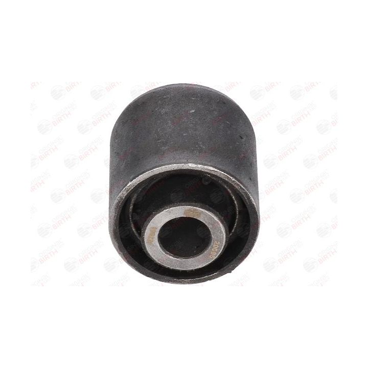 Valdymo svirties/išilginių svirčių įvorė BIRTH 20095