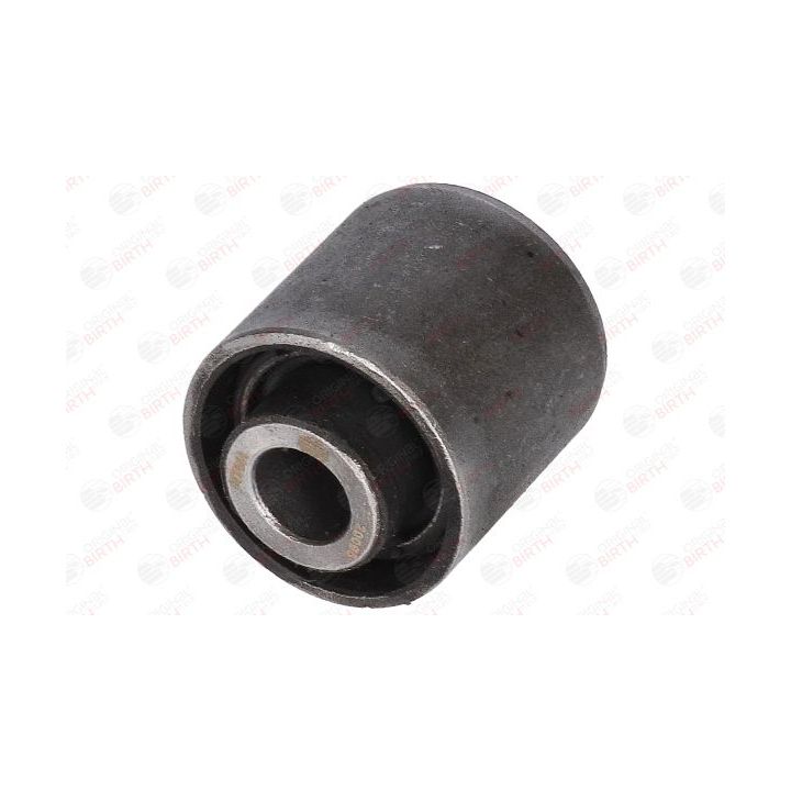 Valdymo svirties/išilginių svirčių įvorė BIRTH 20095