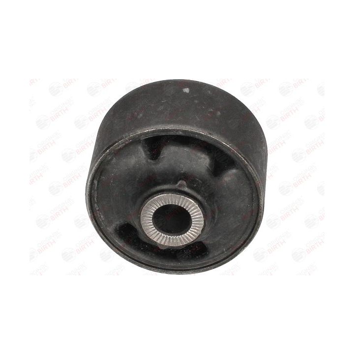 Valdymo svirties/išilginių svirčių įvorė BIRTH 20144