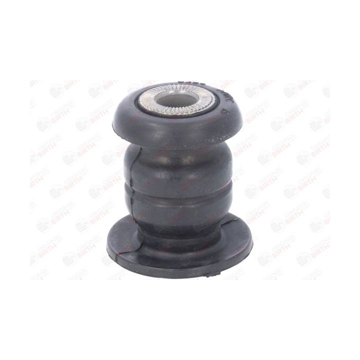 Valdymo svirties/išilginių svirčių įvorė BIRTH 20188