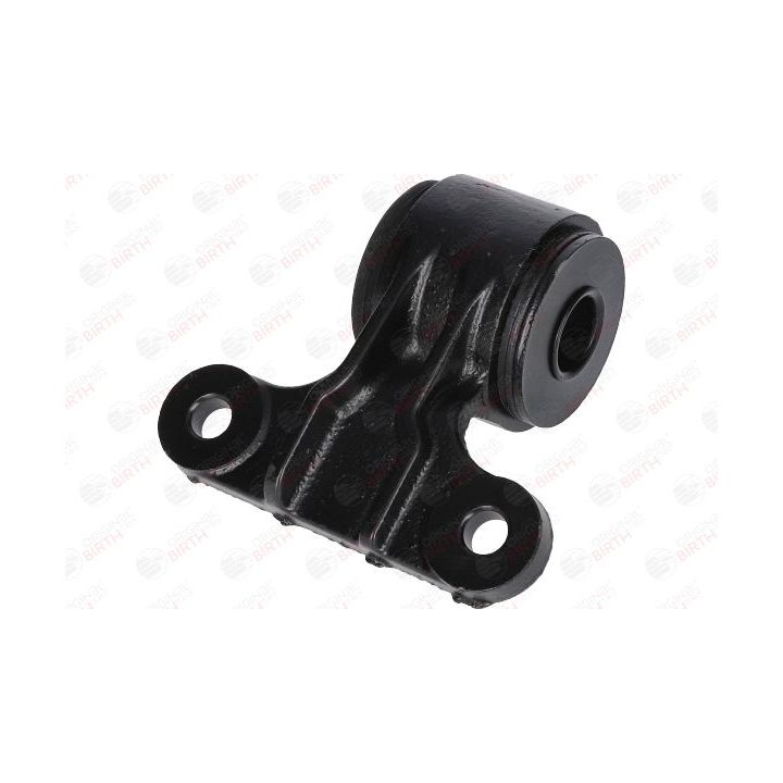 Valdymo svirties/išilginių svirčių įvorė BIRTH 2071