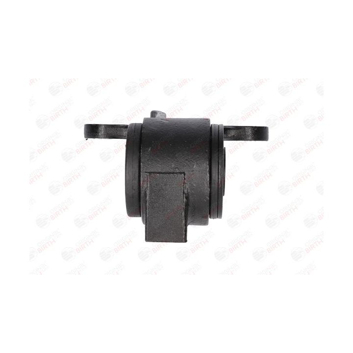 Valdymo svirties/išilginių svirčių įvorė BIRTH 2072