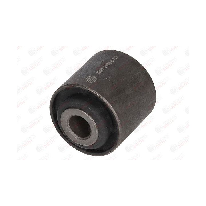 Valdymo svirties/išilginių svirčių įvorė BIRTH 2090