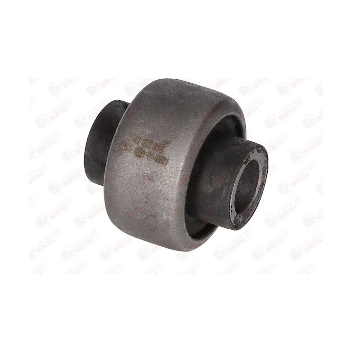 Valdymo svirties/išilginių svirčių įvorė BIRTH 2196