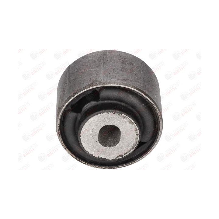 Valdymo svirties/išilginių svirčių įvorė BIRTH 2203