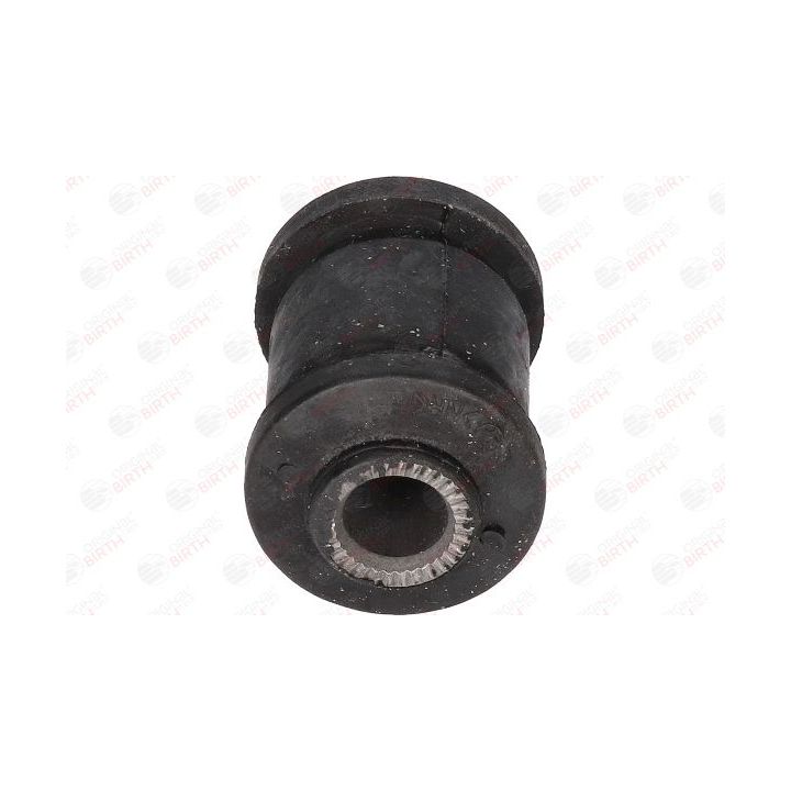 Valdymo svirties/išilginių svirčių įvorė BIRTH 2234