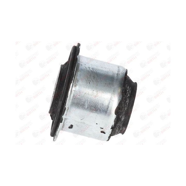 Valdymo svirties/išilginių svirčių įvorė BIRTH 2260