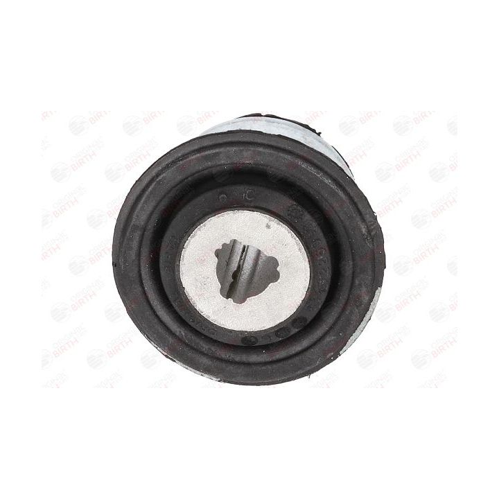 Valdymo svirties/išilginių svirčių įvorė BIRTH 2260