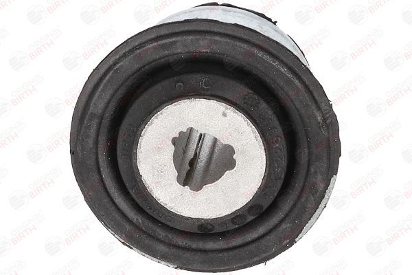 Valdymo svirties/išilginių svirčių įvorė BIRTH 2260