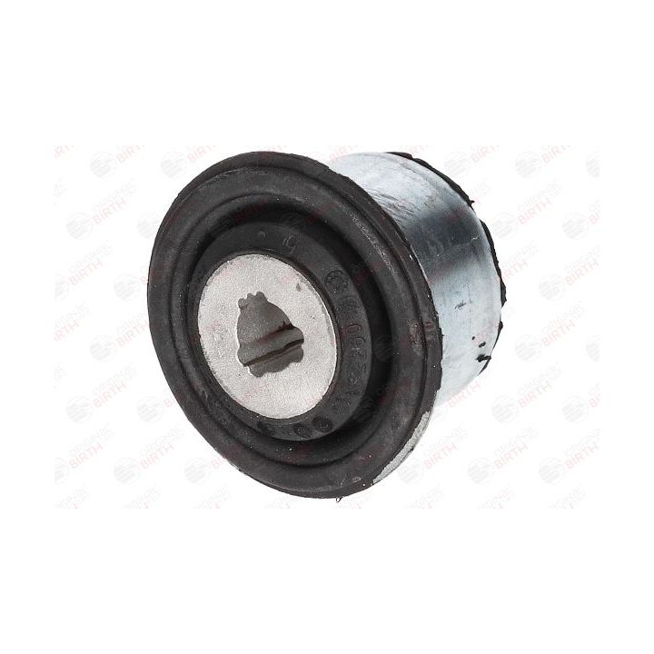 Valdymo svirties/išilginių svirčių įvorė BIRTH 2260