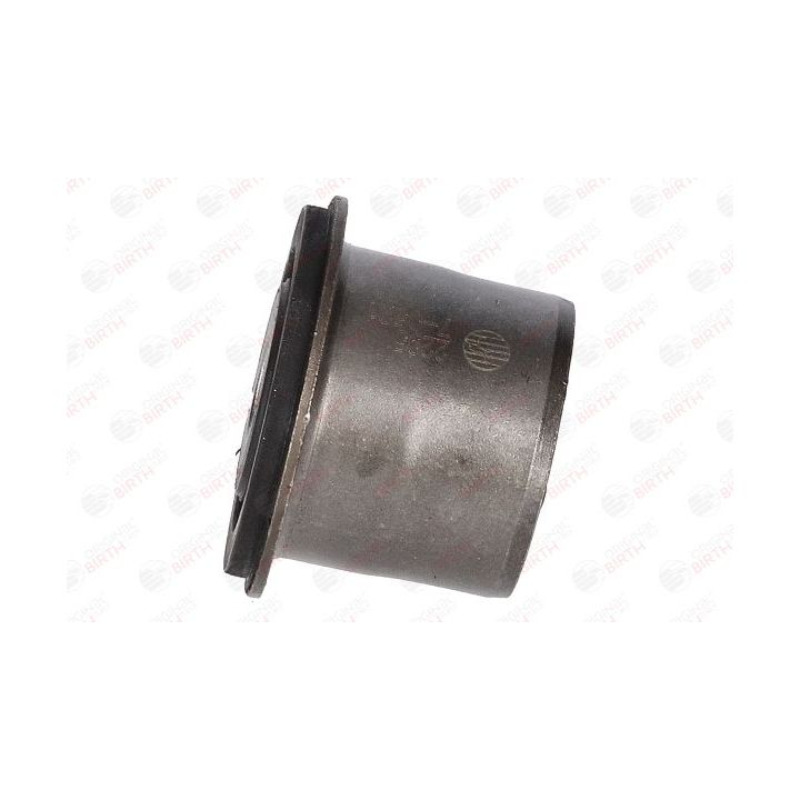 Valdymo svirties/išilginių svirčių įvorė BIRTH 2295