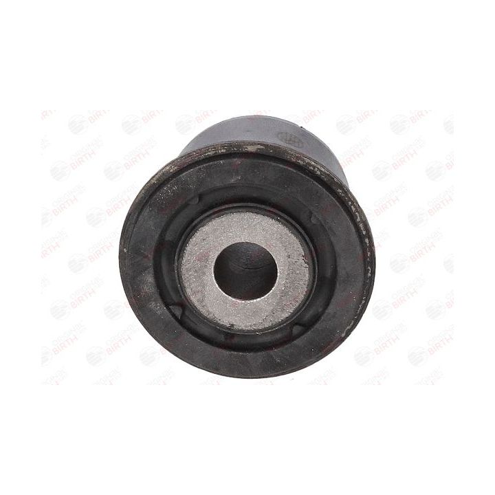 Valdymo svirties/išilginių svirčių įvorė BIRTH 2295