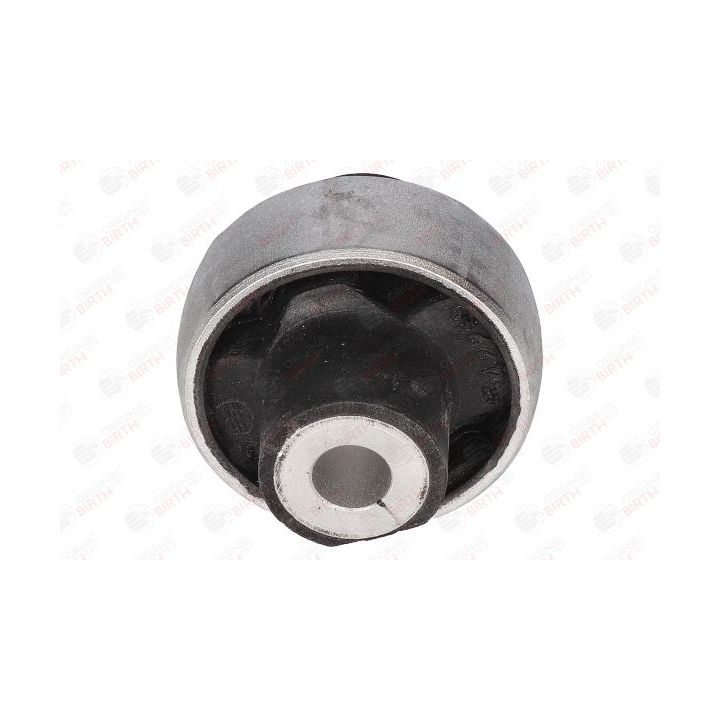 Valdymo svirties/išilginių svirčių įvorė BIRTH 2420