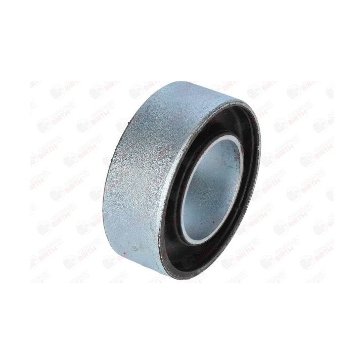 Valdymo svirties/išilginių svirčių įvorė BIRTH 2422