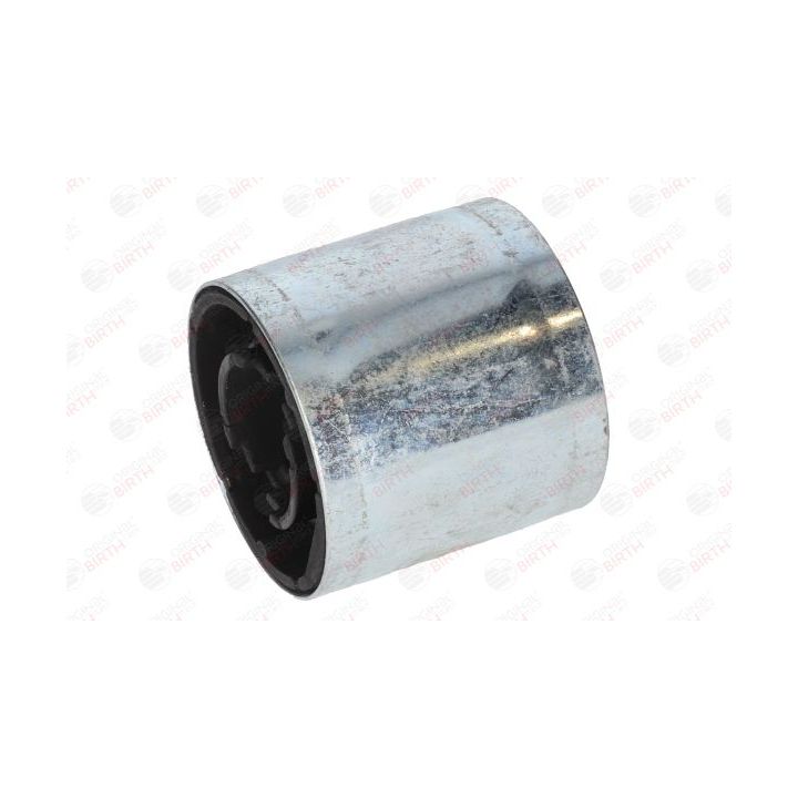 Valdymo svirties/išilginių svirčių įvorė BIRTH 2463