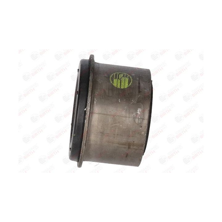 Valdymo svirties/išilginių svirčių įvorė BIRTH 2513