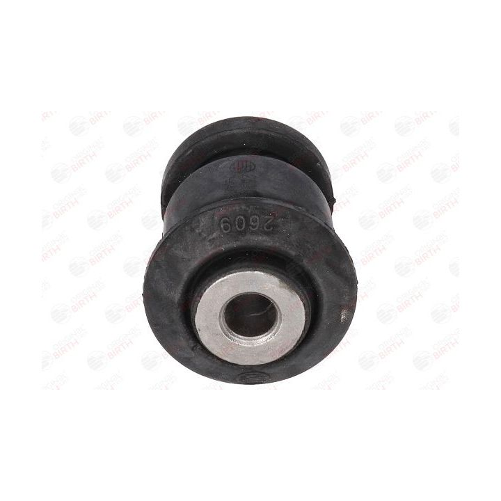 Valdymo svirties/išilginių svirčių įvorė BIRTH 2609