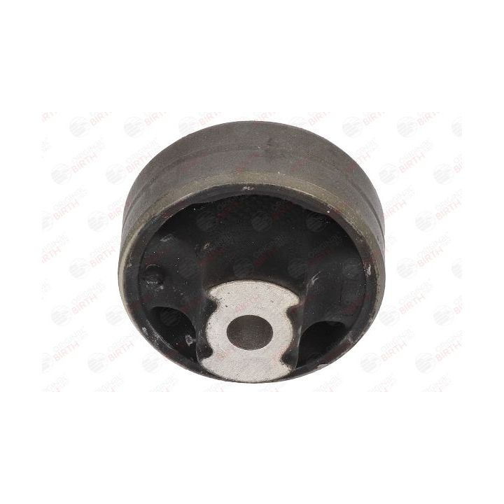 Valdymo svirties/išilginių svirčių įvorė BIRTH 2613