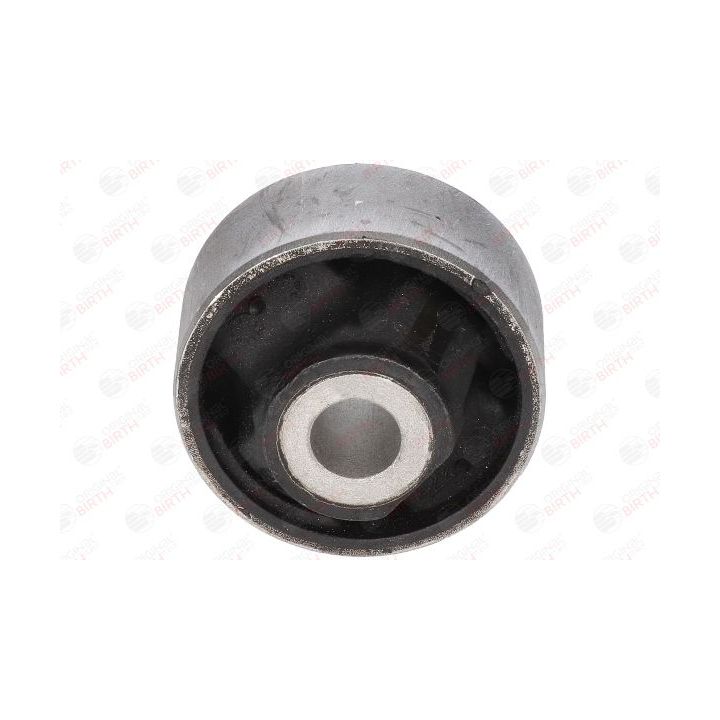 Valdymo svirties/išilginių svirčių įvorė BIRTH 2641