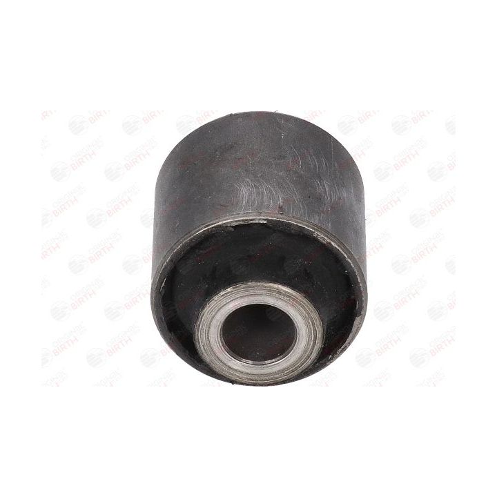 Valdymo svirties/išilginių svirčių įvorė BIRTH 2645