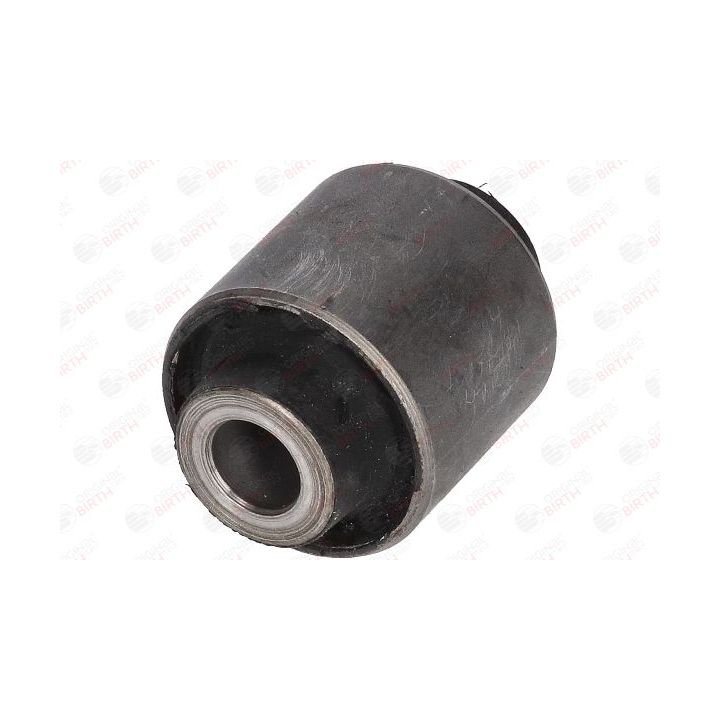 Valdymo svirties/išilginių svirčių įvorė BIRTH 2645