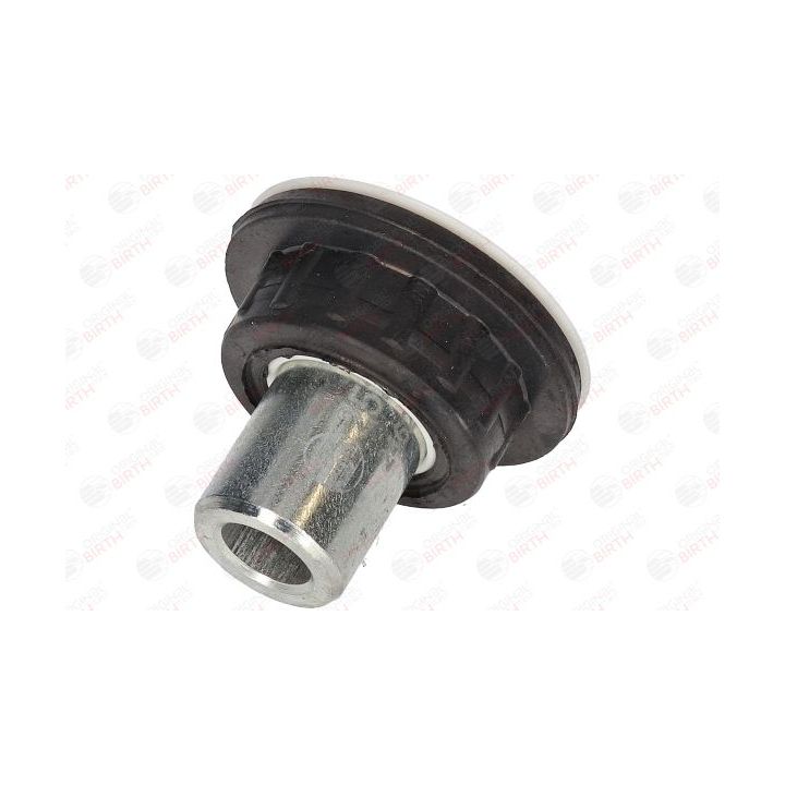 Valdymo svirties/išilginių svirčių įvorė BIRTH 2657