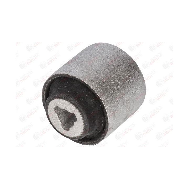 Valdymo svirties/išilginių svirčių įvorė BIRTH 2695