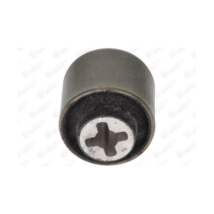 Valdymo svirties/išilginių svirčių įvorė BIRTH 2696