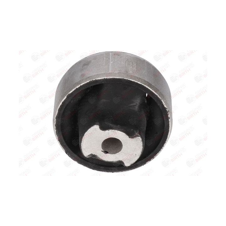 Valdymo svirties/išilginių svirčių įvorė BIRTH 2733