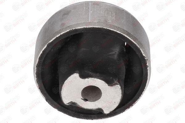 Valdymo svirties/išilginių svirčių įvorė BIRTH 2733