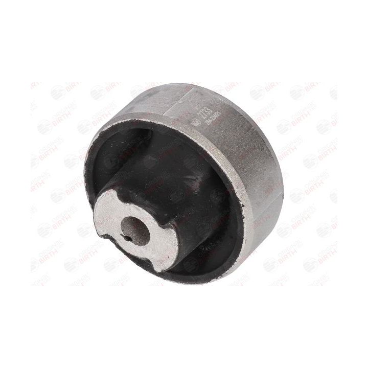 Valdymo svirties/išilginių svirčių įvorė BIRTH 2733