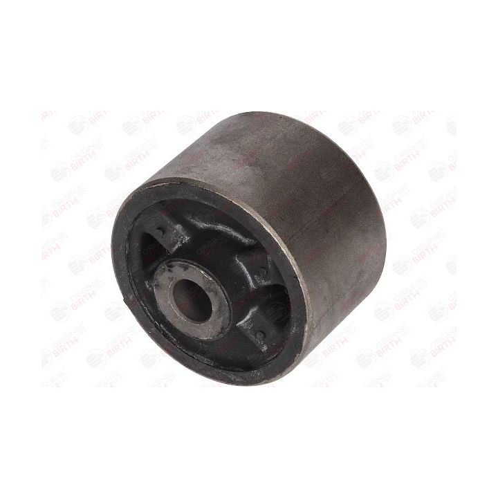 Valdymo svirties/išilginių svirčių įvorė BIRTH 2798