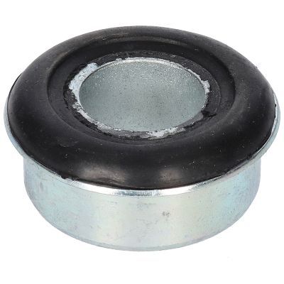 Valdymo svirties/išilginių svirčių įvorė BIRTH 2817