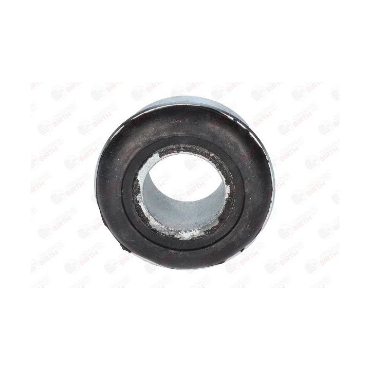 Valdymo svirties/išilginių svirčių įvorė BIRTH 2817