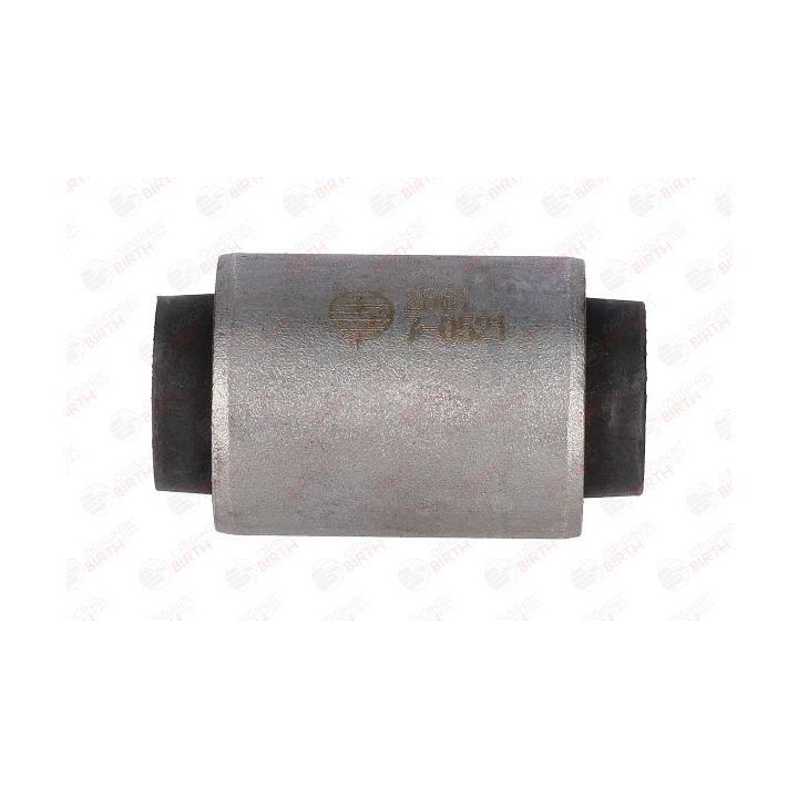 Valdymo svirties/išilginių svirčių įvorė BIRTH 2861