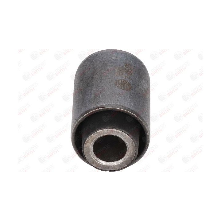 Valdymo svirties/išilginių svirčių įvorė BIRTH 2861