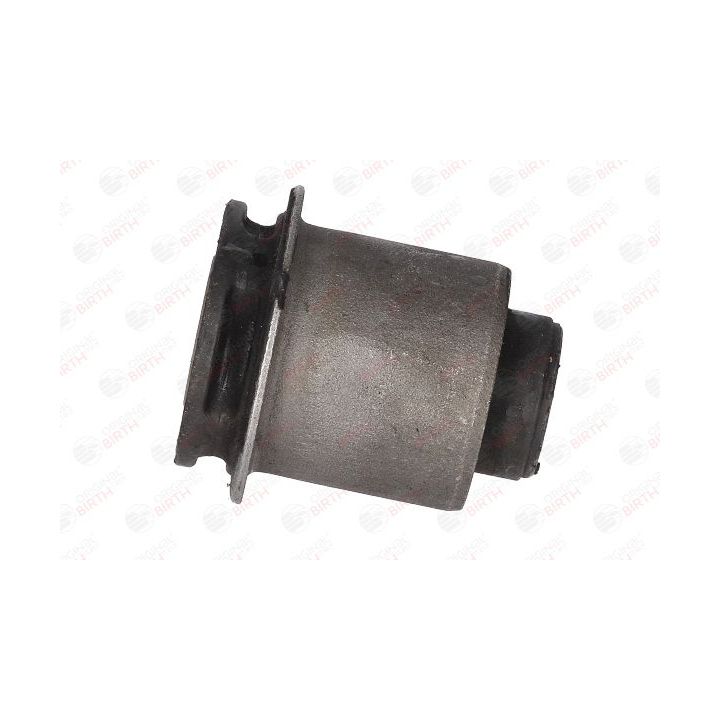 Valdymo svirties/išilginių svirčių įvorė BIRTH 2890