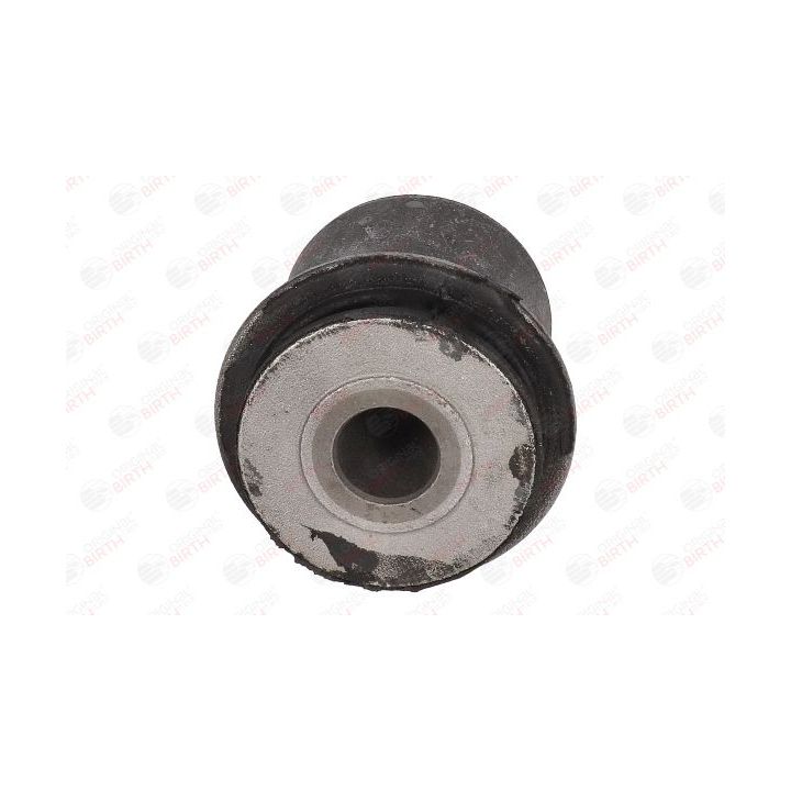 Valdymo svirties/išilginių svirčių įvorė BIRTH 2890