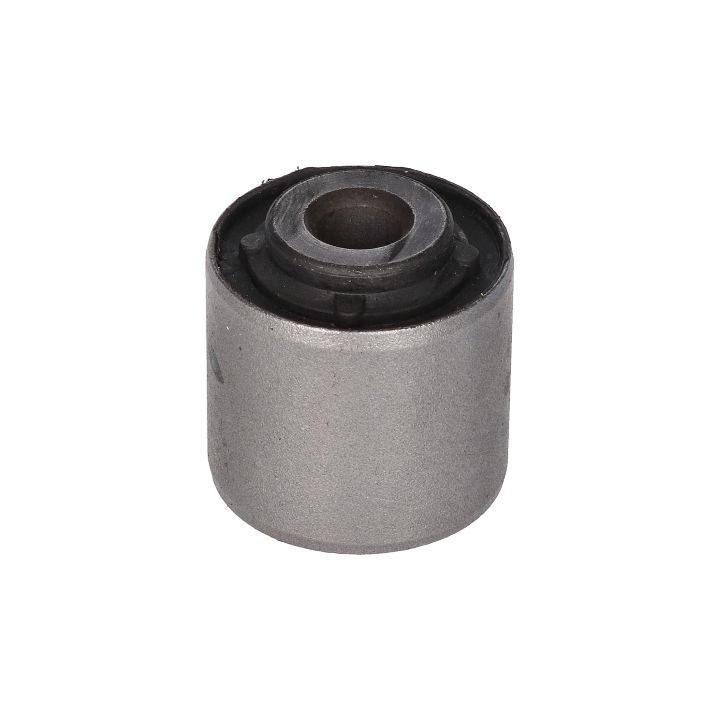 Valdymo svirties/išilginių svirčių įvorė BIRTH 2891