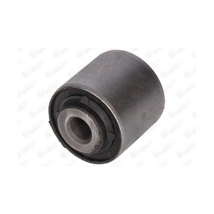 Valdymo svirties/išilginių svirčių įvorė BIRTH 2891