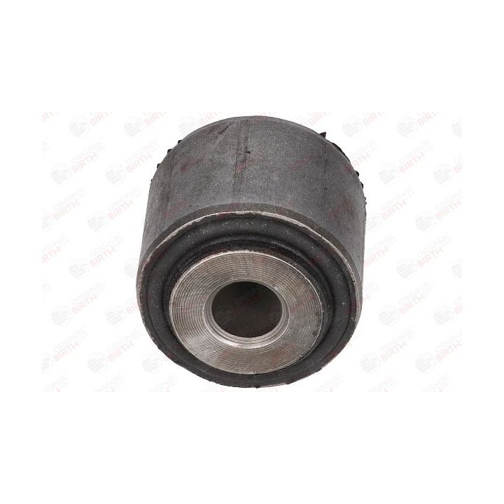 Valdymo svirties/išilginių svirčių įvorė BIRTH 2935