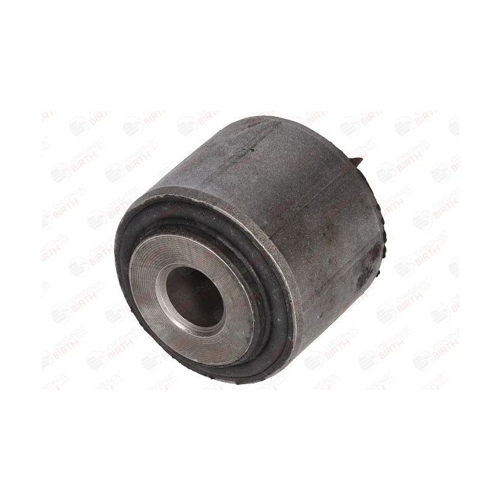 Valdymo svirties/išilginių svirčių įvorė BIRTH 2935