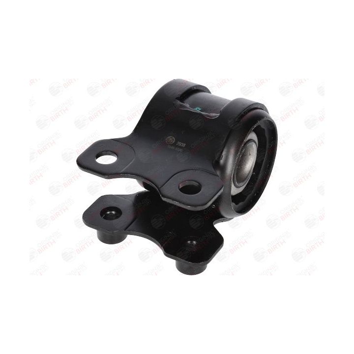 Valdymo svirties/išilginių svirčių įvorė BIRTH 2938