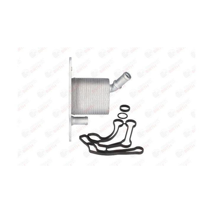 Alyvos aušintuvas, variklio alyva BIRTH 80281