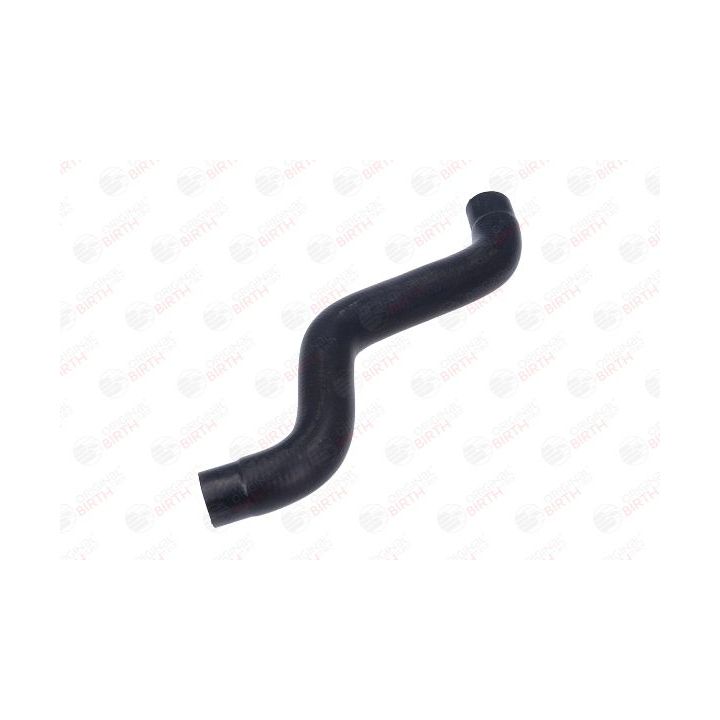 Radiatoriaus žarna BIRTH 54525