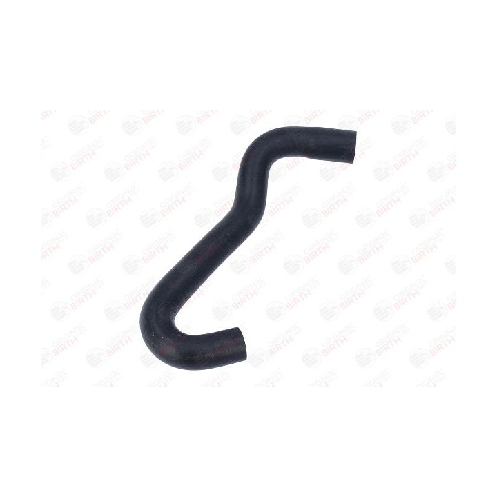 Radiatoriaus žarna BIRTH 54550